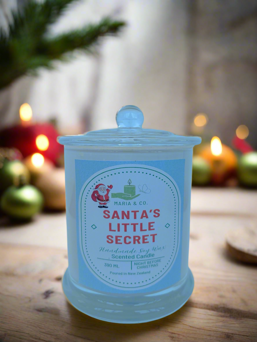 Santa’s Little Secret